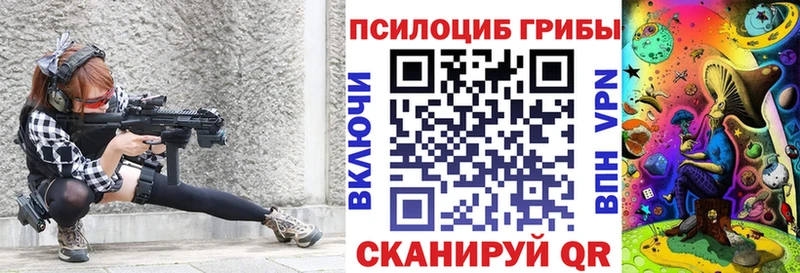 ссылка на мегу маркетплейс  Жуковский  Псилоцибиновые грибы Psilocybine cubensis 