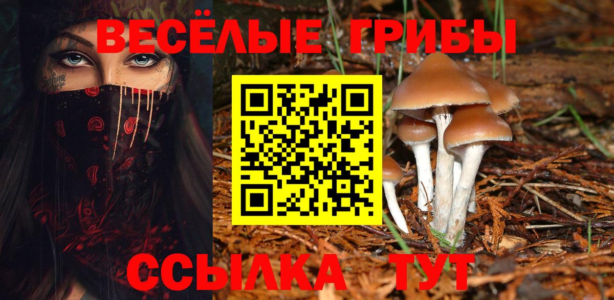 Псилоцибиновые грибы Psilocybine cubensis Жуковский